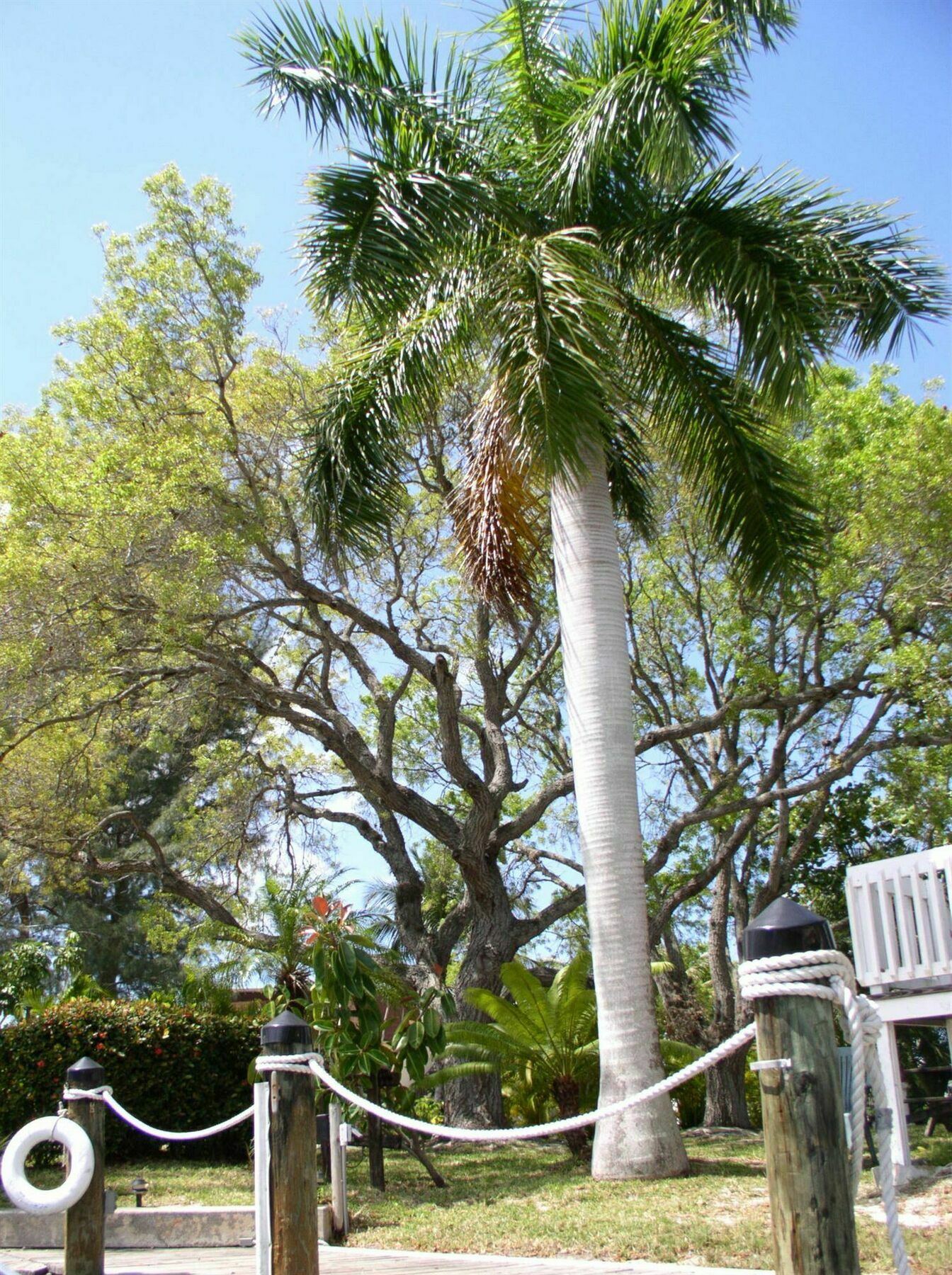 Hidden Harbor Suites Fort Myers Beach Exterior foto